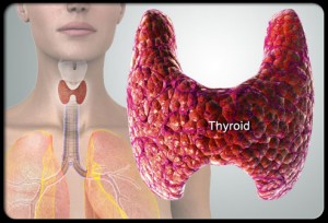thyroid-symptoms-and-solutions-s2